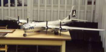 FiFi MODEL