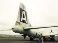 TAIL AREA